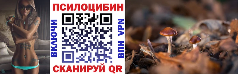 Галлюциногенные грибы мицелий  Гаврилов Посад 