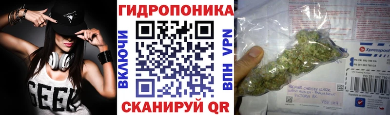 Каннабис план Гаврилов Посад