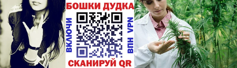 Марихуана сатива Гаврилов Посад